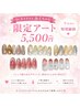 Jrネイリスト限定アート 5500円♪