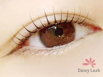 デイジーラッシュ 神戸三宮店(Daisy Lash)/まつげパーマ/パリジェンヌ/神戸