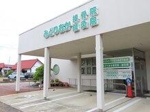 スパイリーア(Spiraea)/入口