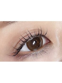 シャンティー ヒラギシ(Shanti hiragishi)/