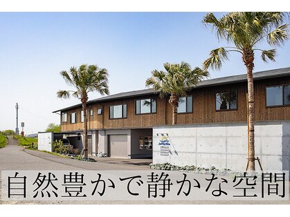 ランドル(rendre)の写真