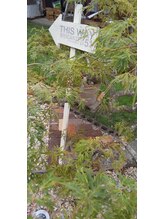 ナナヤ(78 NANAYA)/◆お庭