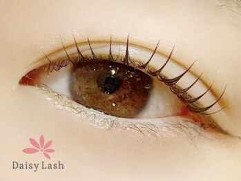 デイジーラッシュ 神戸三宮店(Daisy Lash)/まつげパーマ/パリジェンヌ/神戸