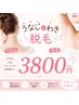 『夏に向けての準備』脇+うなじ脱毛「シェービング込み」¥3800円