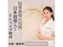 ルピナス ヒサヤ(LUPINUS hisaya)