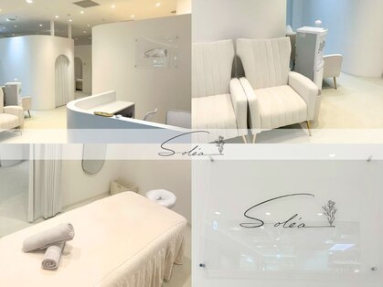 ソレア(Solea)の写真