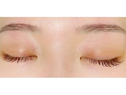 レハ(rehat)の写真