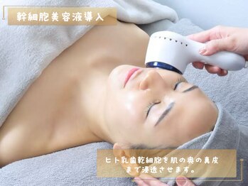 クリーン&ビューティー/幹細胞美容液の導入