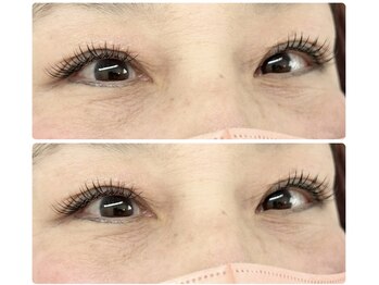 ティピ(tipi)/フラットラッシュ120本