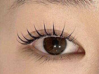 アイラッシュ バイ コンベックス(EYELASH by convex)/【ナチュラル】まつ毛パーマ