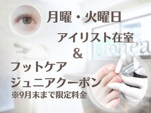 ルーム ノヘア(Room nohea)
