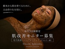 チッチ アフロディーテ(Chicchi Aphrodite)