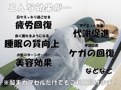 もみの樹の写真