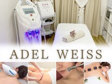 エーデルワイス 桜木町(ADEL WEISS)