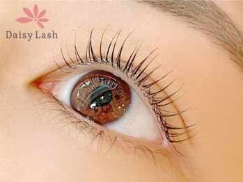 デイジーラッシュ 神戸三宮店(Daisy Lash)/まつげパーマ/パリジェンヌ/神戸
