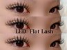 【10月31日までの来店限定☆】LEDフラットラッシュ120本まで￥7700→￥7150