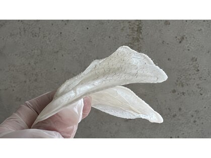 エピュレ(epure)の写真