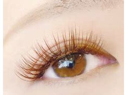 エール(ailes)の写真