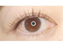 ドレス アイラッシュ(Dress eyelash)/LEDエクステ ダークブラウン