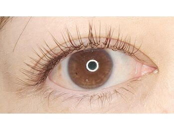 ドレス アイラッシュ(Dress eyelash)/LEDエクステ ダークブラウン