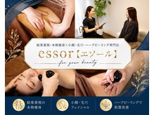 エソール(essor)