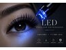 【当店人気No1】LEDバインドロック140束