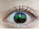 リラクゼーションサロン グラス(grass)の写真
