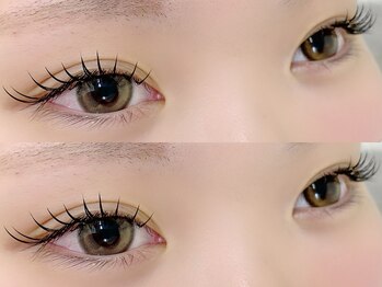 トムテ(tomte)/フラットラッシュ