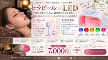 ノエル(Noel)