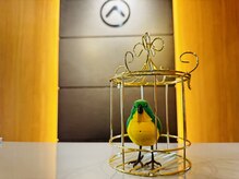 アロカ(aloka)/alokaちゃん♪