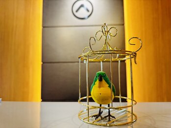 アロカ(aloka)/alokaちゃん♪