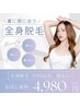 面倒な毛の処理を最短で無くしたい方必見★全身脱毛/VIO込み、顔なし4,980円