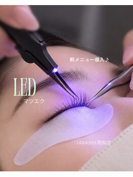 ララディーテ 昭和店(LARAdite)の写真/人気のLEDマツエク新メニュー導入！目の形に合う提案とカラー変更も可能で素敵♪