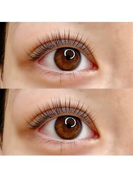 ヴィフ(Vif)/パリジェンヌラッシュリフト上下