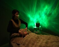 眠りの木