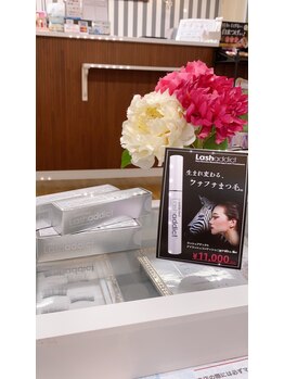 ハニービー(Honey B)/ラッシュアディクト幕張本郷