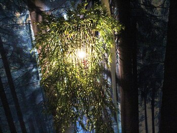 タイ古式マッサージ フォルトゥーナ(fortuna)/蒲田・タイ古式マッサージ♪