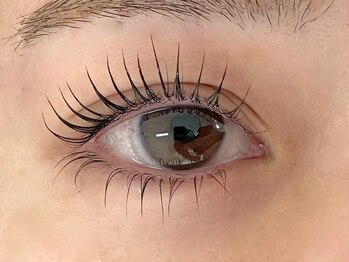 アイビーラッシュ(Eye'llbe lash)/上下まつ毛パーマ