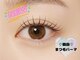 デイジー(Daisy)の写真