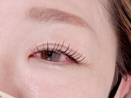 アルム(ARUM)の写真