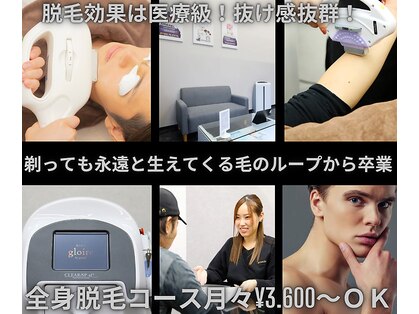 グロワール(gloire)の写真