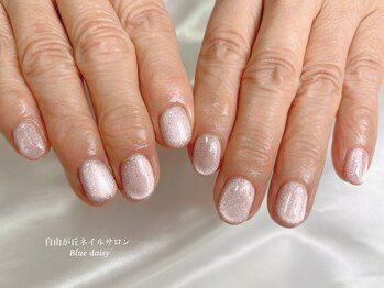 ブルーデイジー(Blue daisy)/