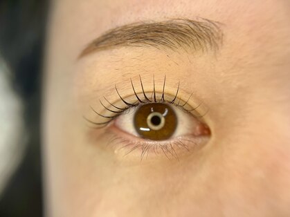 ベル(Belle)の写真