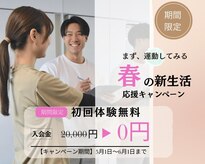 ノースフィットレイ(NorthFit Ray)
