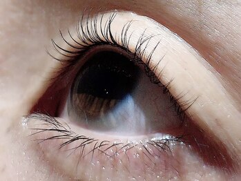 カラン 焼津店(CALIN)/ラスティングカール