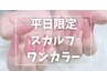 【平日限定！】スカルプ・ワンカラー※新規オフ無料