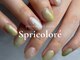 スプリコローレ(Spricolore)の写真