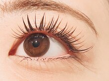 ネオリーブテラス 仙川店(Neolive terrace & Lavie EYELASH)/フラットラッシュつけ放題