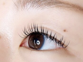 ウルカ アイラッシュ(uruka EYELASH)/フラットラッシュ　100本