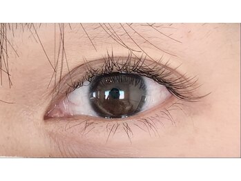 ライラ(Lila)/《フラットラッシュカラー》80本